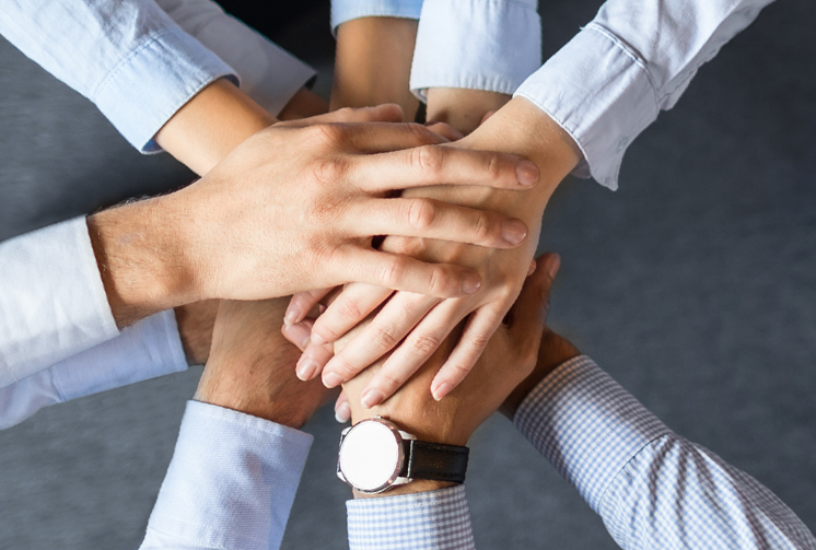 йyl23411()Ź-Officialwebsite