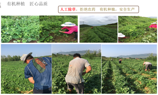 微信图片_20220906143730 微信图片_20220906143730.png