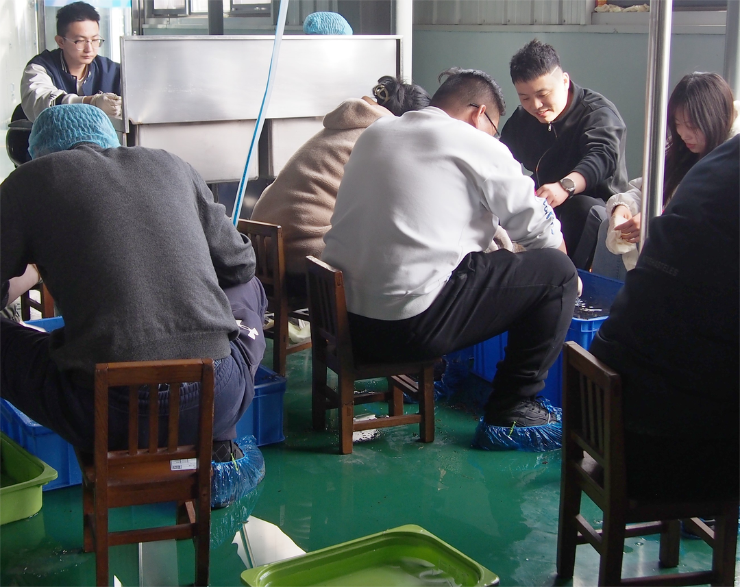 ΢ÐÅͼƬ_20240628163258 ΢ÐÅͼƬ_20240628163258.png