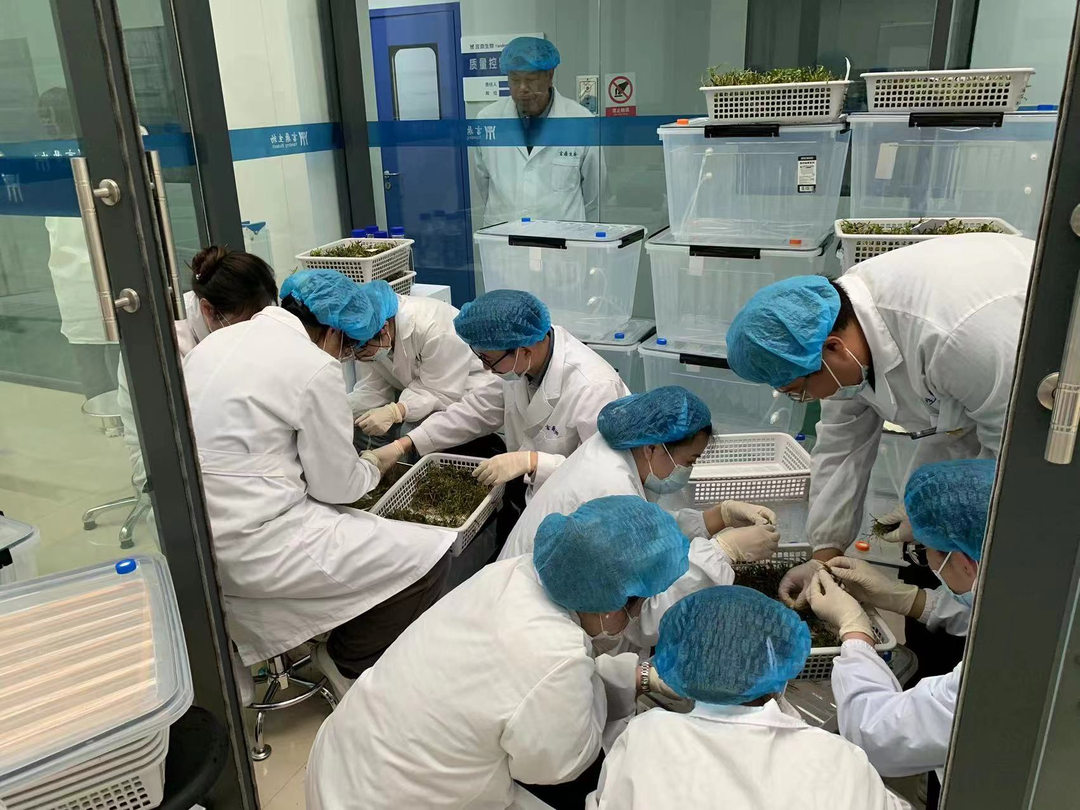 ΢ÐÅͼƬ_20240628163302 ΢ÐÅͼƬ_20240628163302.png