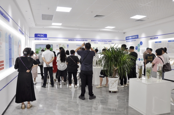 _DSC0041_副本 _DSC0041_副本.jpg