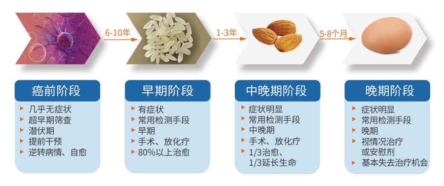 肿瘤生长情形 肿瘤生长情形.png