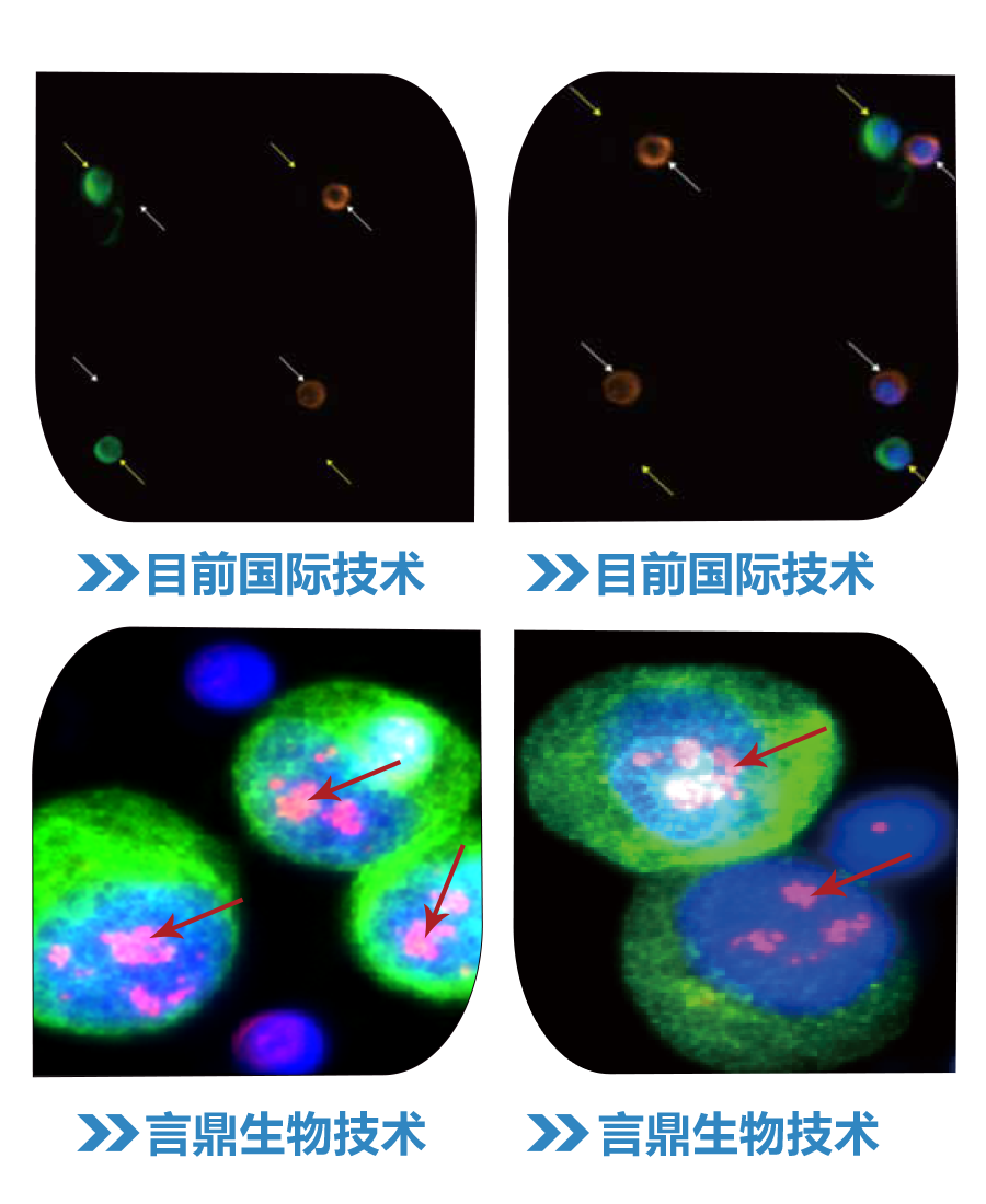 手艺比照 手艺比照.png