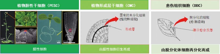 ²úÆ·ÌØÕ÷ ²úÆ·ÌØÕ÷.png