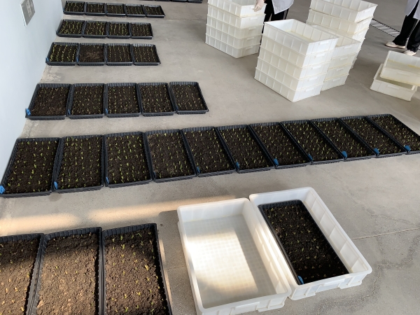 微信图片_20240901141436 微信图片_20240901141436.jpg