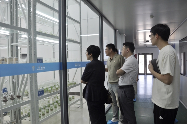 _DSC0015_副本 _DSC0015_副本.jpg