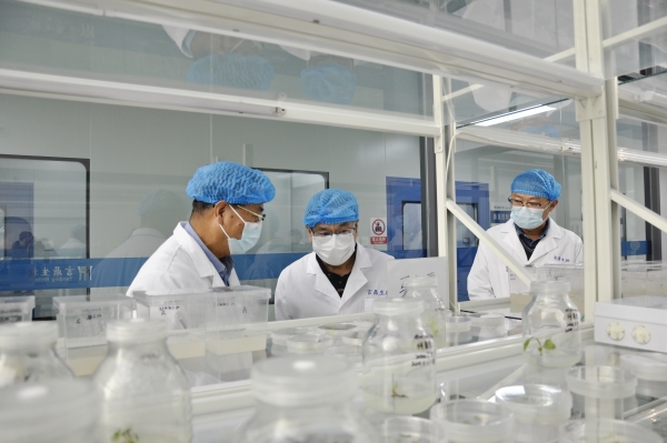 _DSC0007_¸±±¾ _DSC0007_¸±±¾.jpg