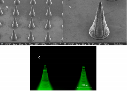 ΢ÐÅͼƬ_20241203093106 ΢ÐÅͼƬ_20241203093106.png