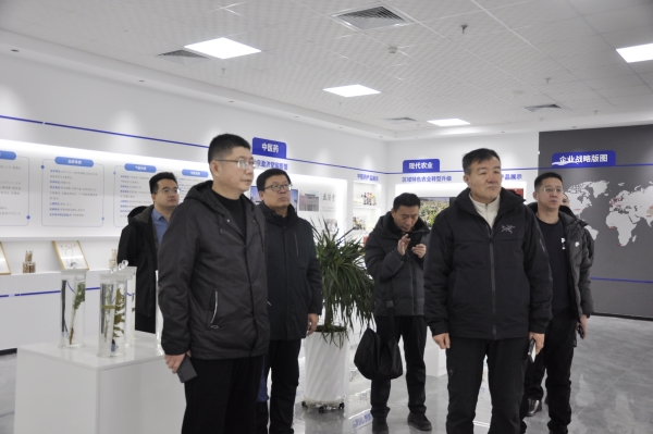 _DSC0002_¸±±¾ _DSC0002_¸±±¾.jpg