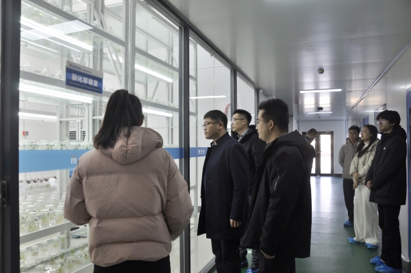 _DSC0020_副本 _DSC0020_副本.jpg