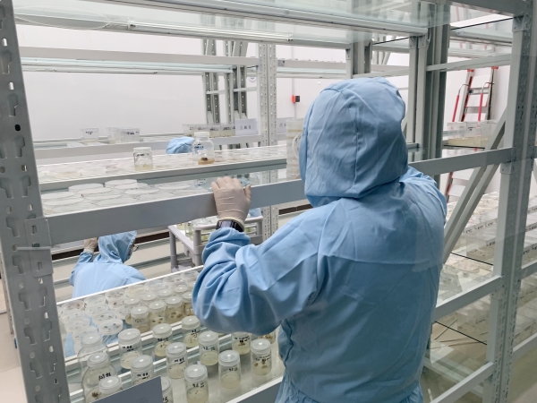 微信图片_20250213101127_副本 微信图片_20250213101127_副本.jpg