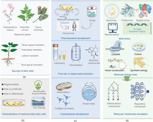1-s2.0-S2095809925002826-gr1_lrg 1-s2.0-S2095809925002826-gr1_lrg.jpg