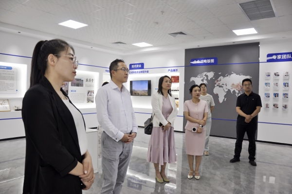 _DSC0001_副本 _DSC0001_副本.jpg