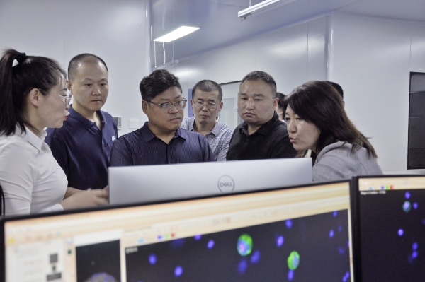 _DSC0037_副本 _DSC0037_副本.jpg