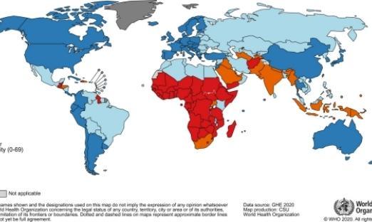 ȫ1000֢ٰΪȫͷŰ֢