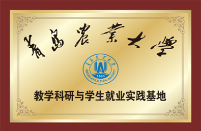 йyl23411()Ź-Officialwebsite