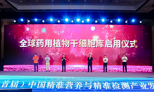 ���ڴ����yl23411��������������ȫ��ҩ��ֲ���ϸ����