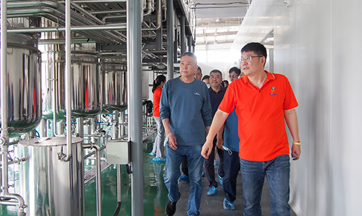 yl23411��������ֲ�����Ը�ϸ�����ս�Ϊ��ī�ƾƹ�ҵ����