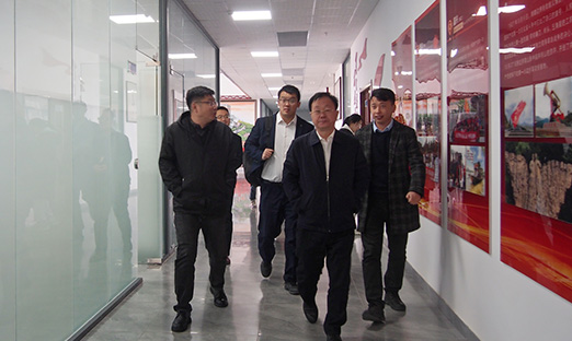 ȫ����Ұ�������ж���