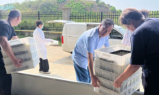 ˹ҵyl23411ʽת