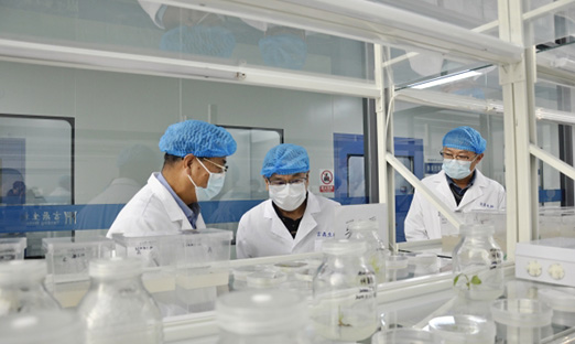 Ｏϯѧһеyl23411̺ʱ