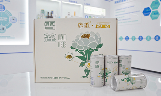 ٭CPyl23411ѩ˲οƷ³