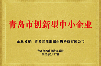 йyl23411()Ź-Officialwebsite